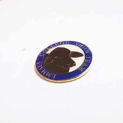 Personalized Iron Epoxy Lapel Pins Stamped Gold Finish With Heart Rubber Clutch