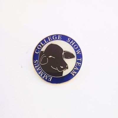 Custom Iron Stamped Round Lapel Pins With Epoxy Domed And Rubber Clutch